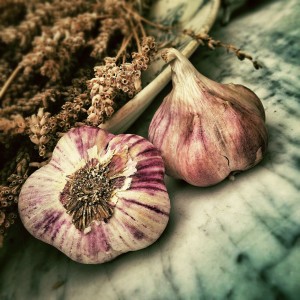 Garlic natural flea repellant
